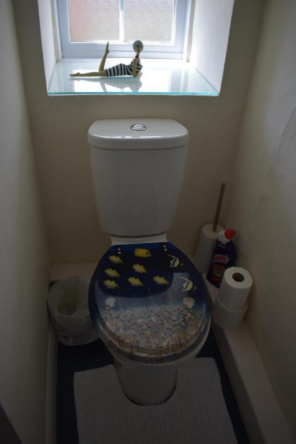 Froglets Apartment Tregoney Exterior foto